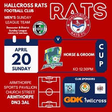 Image result for hallcross jfc