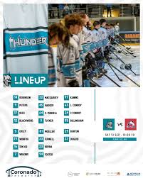 Image result for Milton Keynes Thunder