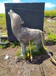 Image result for Whitby Company Of Archers