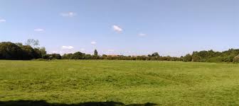 Image result for Whitstable Cc