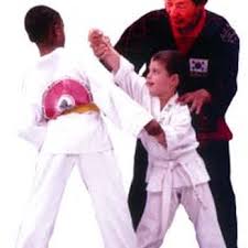 Image result for Worthington Martial Arts Institute