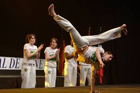 Image result for Brazilian-martial arts