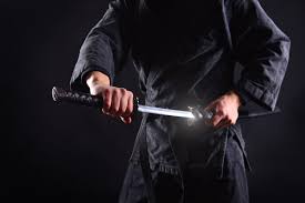 Image result for Goshin Ryu Atemi JuJitsu