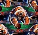 Nfl CHICAGO BEARS Team Picture and Photo | Imagesize: 41 kilobyte