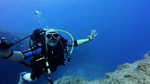 Image result for Meadurst Sub-Aqua Club