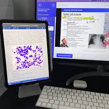 Image result for bootcamp