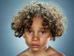 Image result for jill greenberg