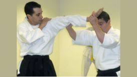 Image result for Bracknell Aikido Club