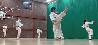 Image result for Utf Taekwondo Cymru Cardiff