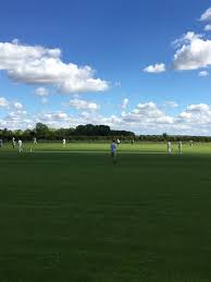 Image result for All Cannings Cricket Club
