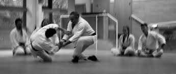 Image result for Winchester Aiuchi Jiu Jitsu