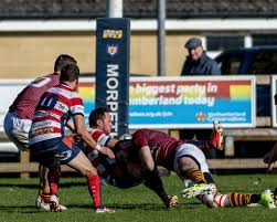 Image result for Morpeth Rugby Football Club Ltd