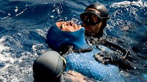 Image result for Duchy Divers