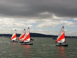 Image result for Dalgety Bay Sailing Club