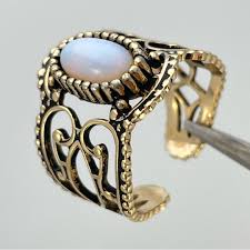 Image result for Coventry Dragons