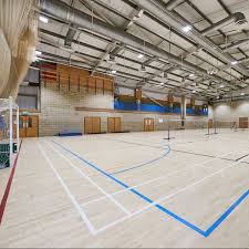 Image result for Felbridge Badminton Club