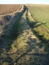 Image result for Luncarty Bowling Club