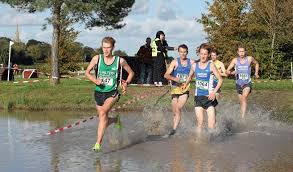 Image result for Bedford Harriers A C