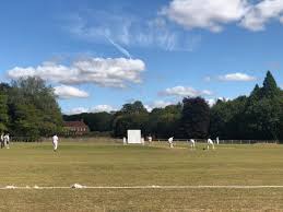 Image result for Ashdon Cricket Club