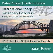 Image result for Teamsheep