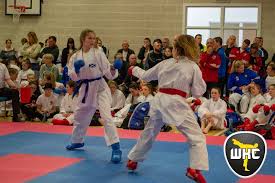 Image result for Reading Wado Kai Karate Club