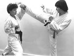 Image result for Abbey Fit Karate Club & Seiki Juku
