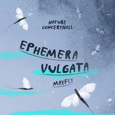 Attēlu rezultāti vaicājumam “Ephemera vulgata”