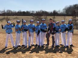 Image result for Sidewinders Baseball Club