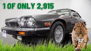 Image result for Nimbus White 1987 Jaguar