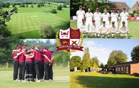 Image result for Downe Cricket Club