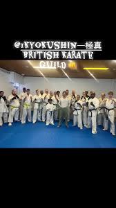 Image result for ENGLISH INTERNATIONAL ALLSTYLES TAEKWONDO