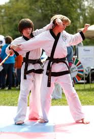 Image result for Taunton Karate academy