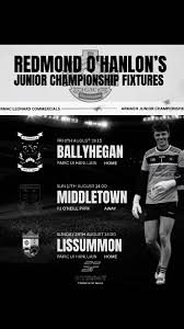 Image result for Ballyhegan Davitts Gaa Club