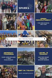 Image result for Sparks Netball Bristol