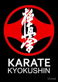 Image result for Kyokushin Karate
