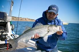 Image result for Leatherhead & District Angling Society