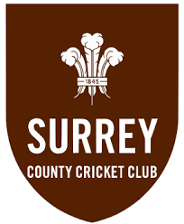 Image result for Chertsey Cricket Club