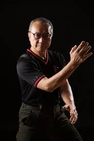 Image result for Kamon Wing Chun