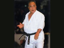 Image result for Reading Karate-Do Shotokai