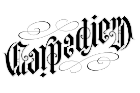 Image result for ambigram