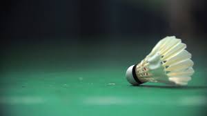 Image result for Carlton Forum Badminton Club