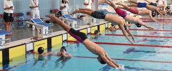 Image result for Grimsby Penguins Swimming Club
