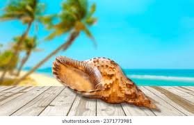 Image result for Triplofusus giganteus