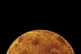 Image result for venus