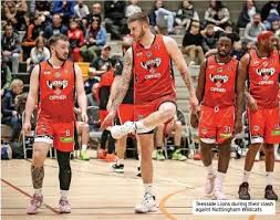 Image result for Nottingham Wildcats