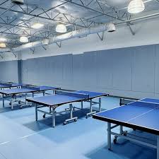 Image result for Northfield Table Tennis Club