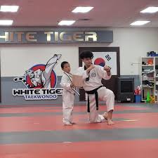 Image result for White Tiger Martial Arts