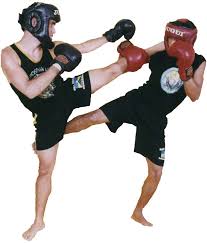 Image result for Southgate T`ai Tsung Chinese Boxing