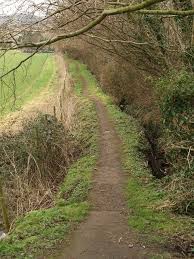 Image result for Peasedown-St-John Cc