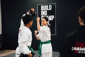 Image result for Championship Martial Arts Winter Springs